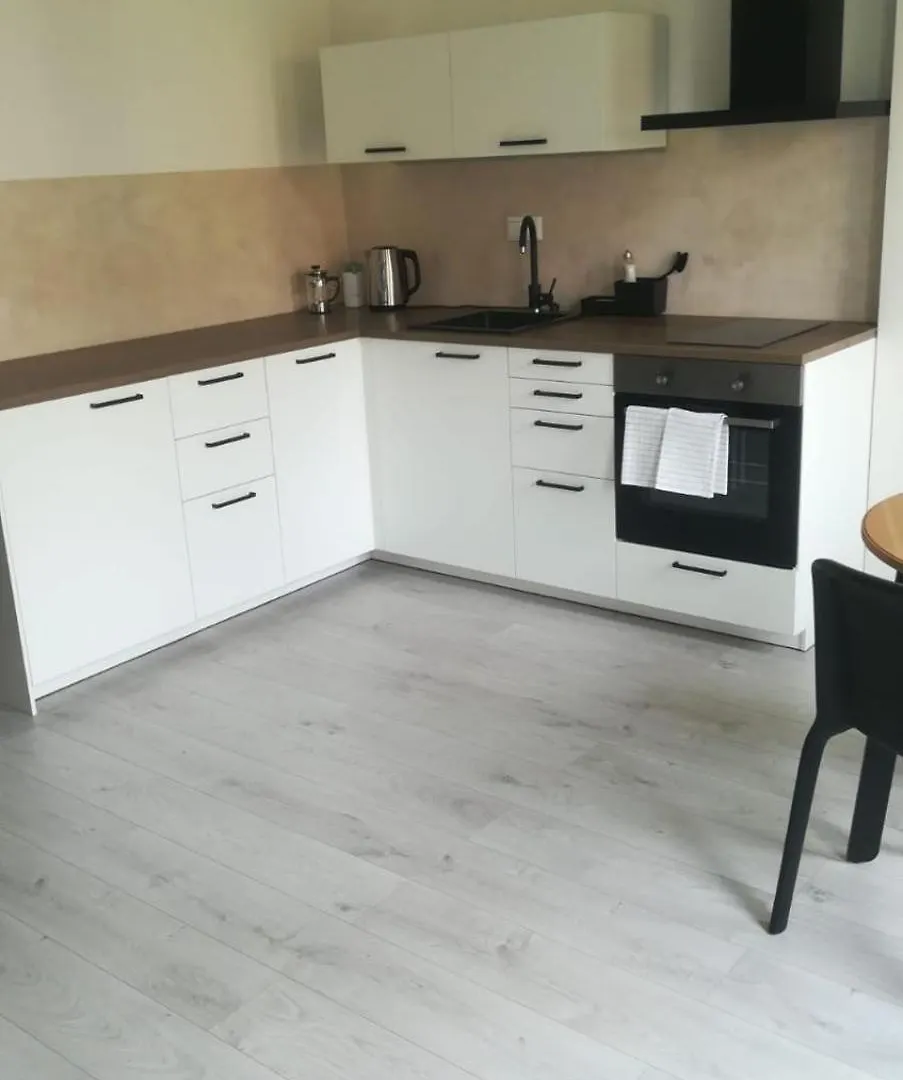 Modern Studio In Prague 7